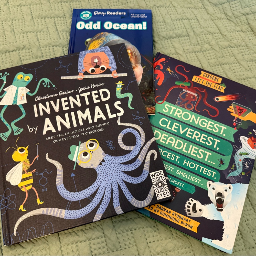 Children Animals Book Bundle